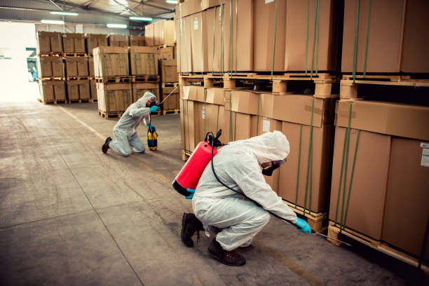 Best Bed Bug Extermination  in Bowling Green, FL