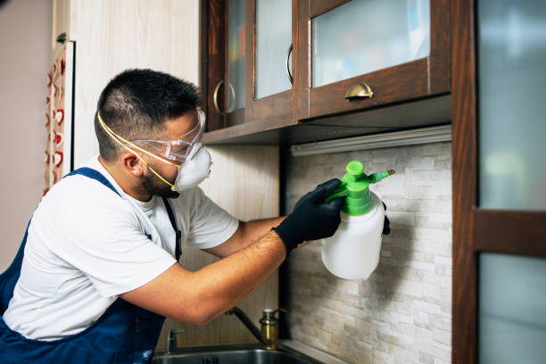 Best Pest Prevention Services  in Bowling Green, FL